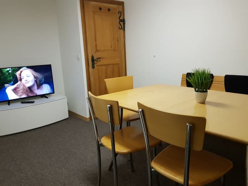 Möbelierte Zimmer und Studios - sofort verfügbar (11)