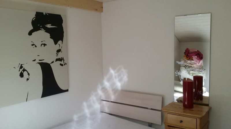Möbelierte Zimmer und Studios - sofort verfügbar (4)