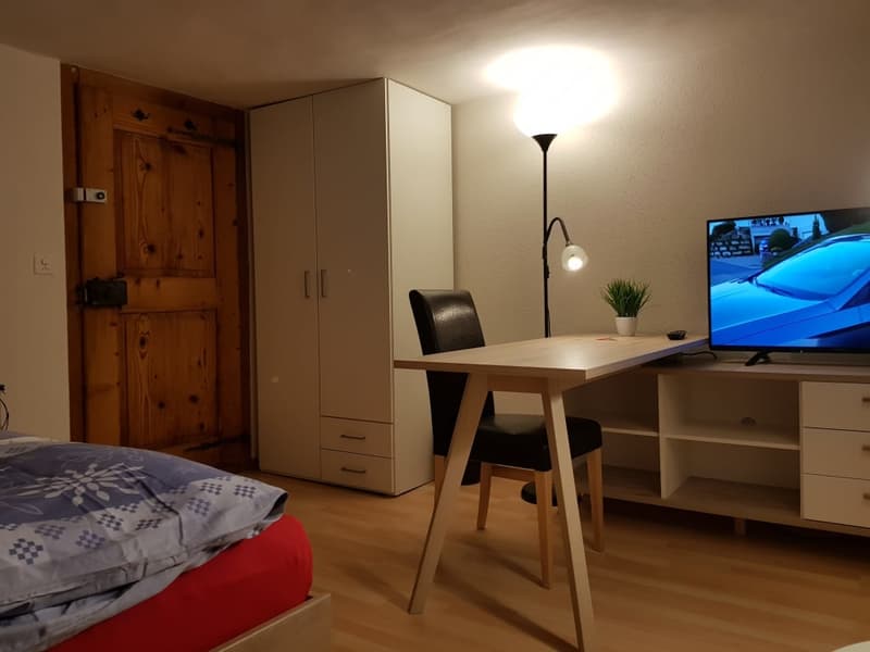 Möbelierte Zimmer und Studios - sofort verfügbar (10)