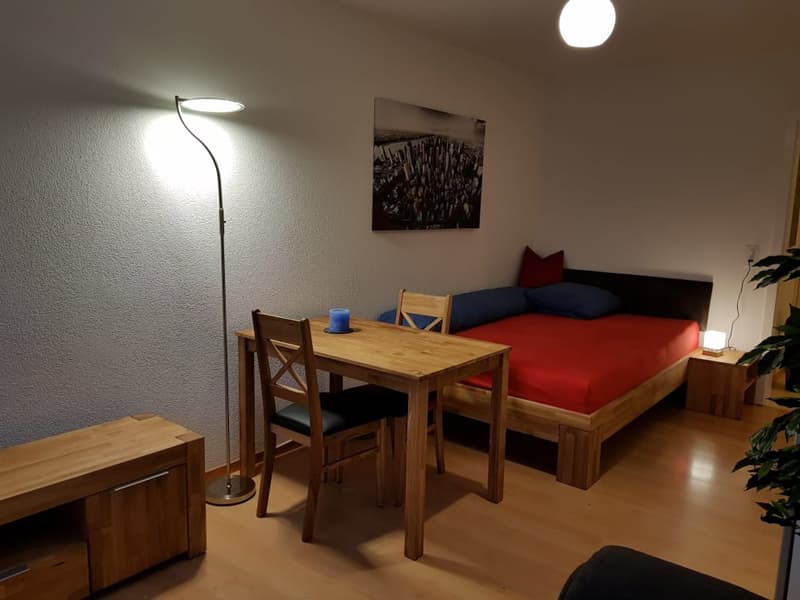 Möbelierte Zimmer und Studios - sofort verfügbar (8)