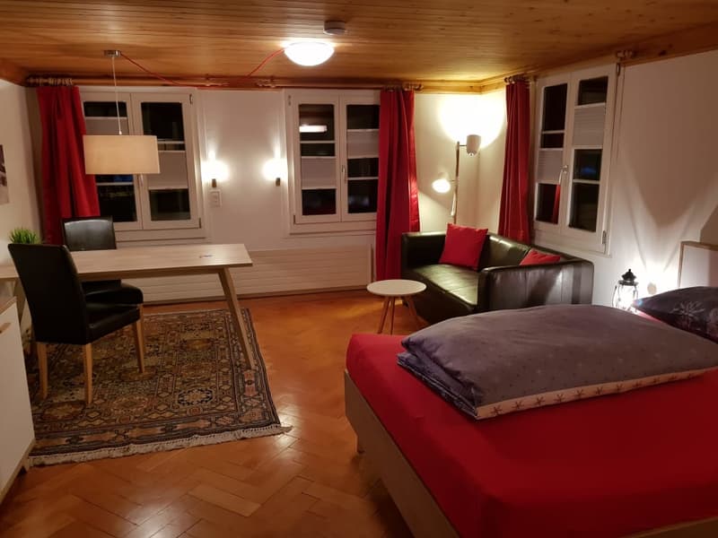 Möbelierte Zimmer und Studios - sofort verfügbar (3)