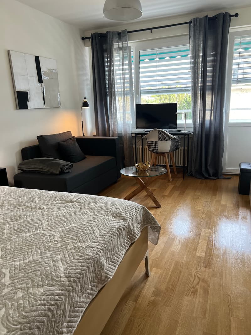 Furnished Room. A modern, well-lit living space with a bed, sofa, glass coffee table, and a TV. The room features wooden flooring, large windows with blinds, and contemporary decor including a painting and a stylish chair.