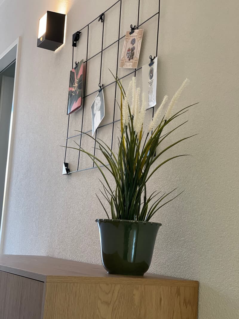 Stillvolle Möbelierte 2-Zimmer Wohnungen (5)
