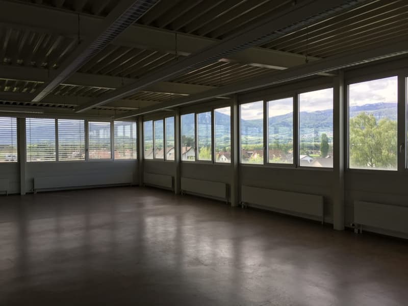 Businesspark Deitingen, flexible Flächen 25m2 bis 2000m2 (9)