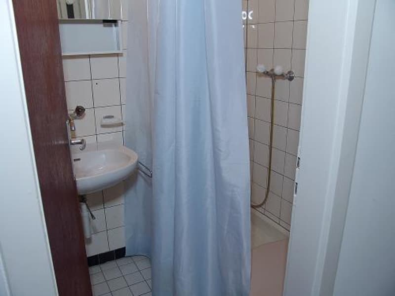 To rent fully furnished one bedroom flat/room between Messe and Rhein (4)