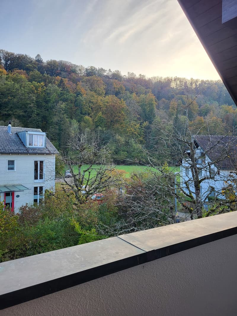Grosszügige, helle Wohnung in 5-Familienhaus, in ruhigem und begrüntem Wohnquartier gelegen (6)