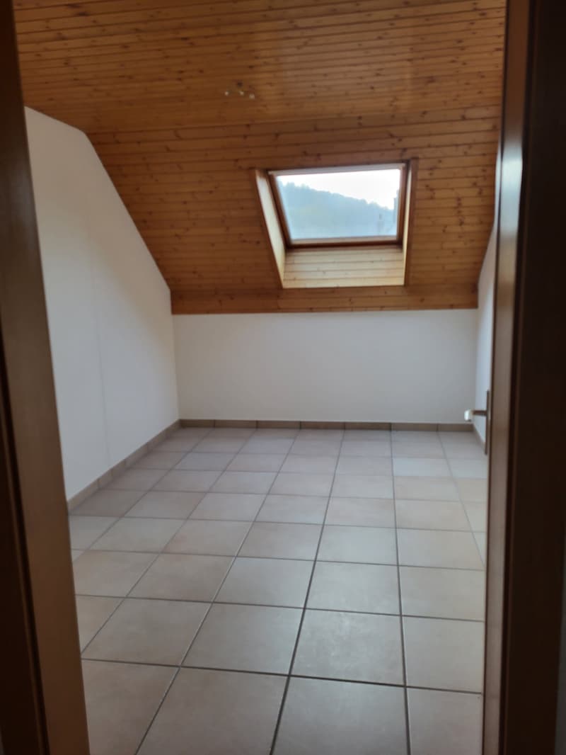 Grosszügige, helle Wohnung in 5-Familienhaus, in ruhigem und begrüntem Wohnquartier gelegen (9)