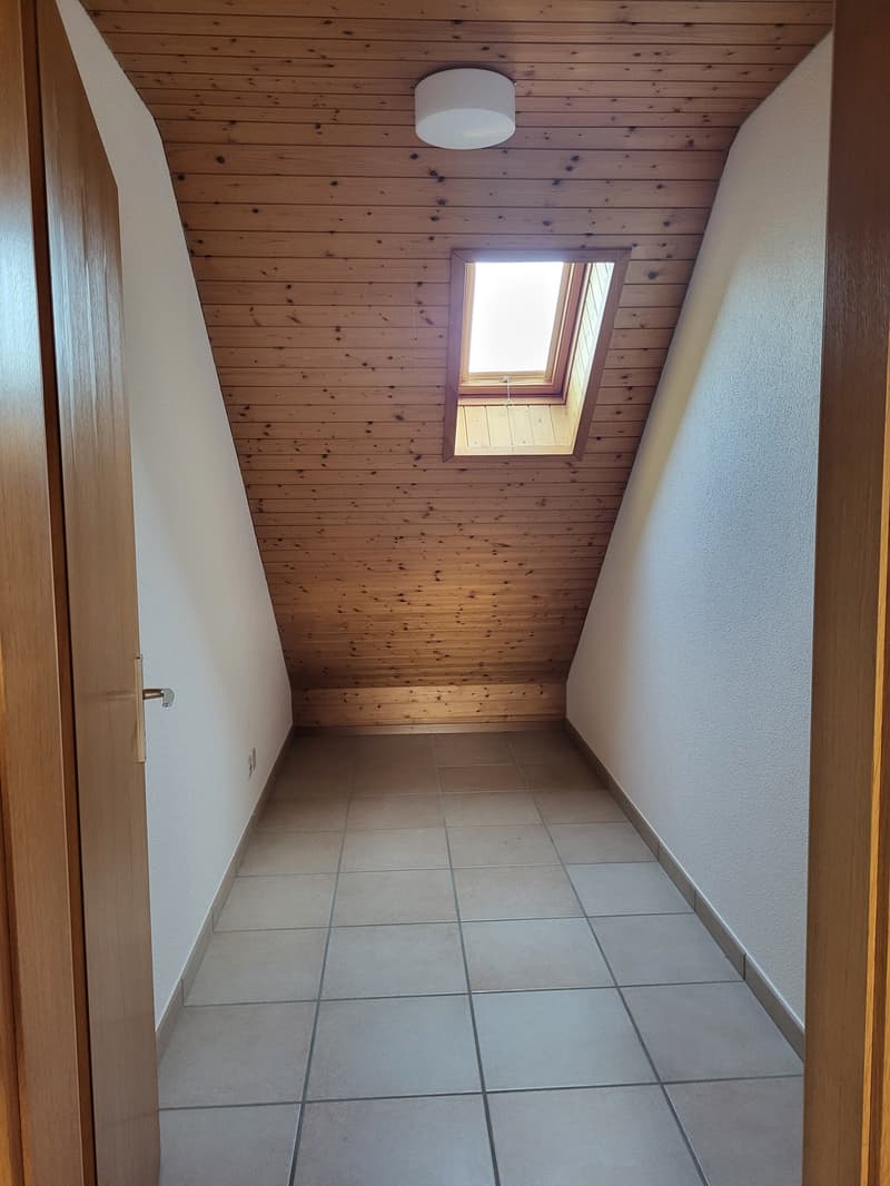 Grosszügige, helle Wohnung in 5-Familienhaus, in ruhigem und begrüntem Wohnquartier gelegen (13)