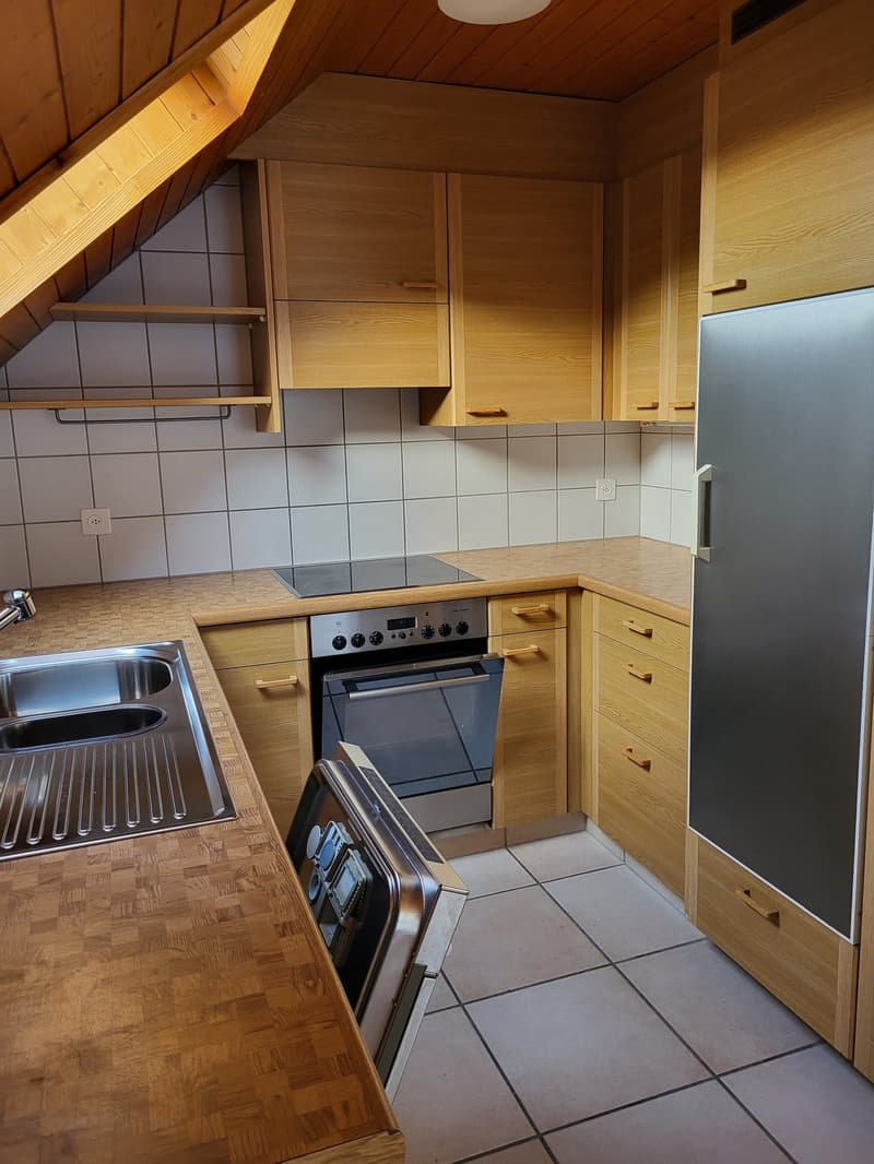 Grosszügige, helle Wohnung in 5-Familienhaus, in ruhigem und begrüntem Wohnquartier gelegen (4)