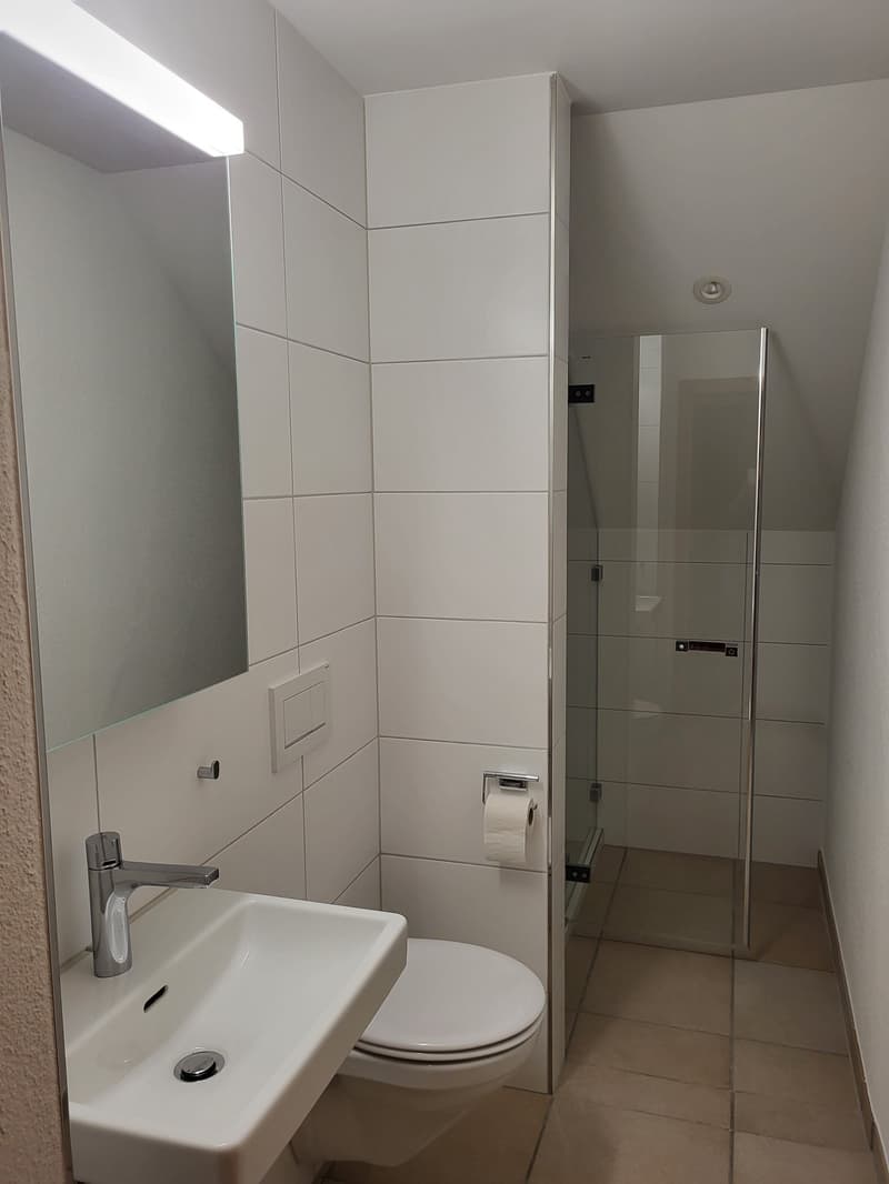 Grosszügige, helle Wohnung in 5-Familienhaus, in ruhigem und begrüntem Wohnquartier gelegen (8)