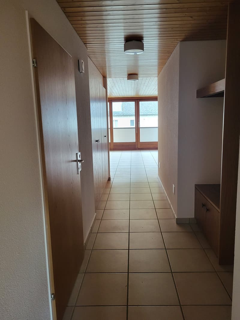 Grosszügige, helle Wohnung in 5-Familienhaus, in ruhigem und begrüntem Wohnquartier gelegen (14)