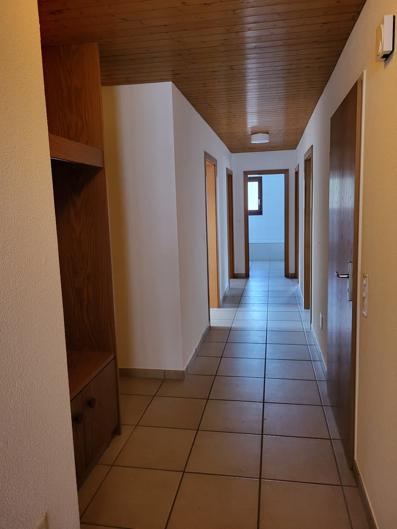 Grosszügige, helle Wohnung in 5-Familienhaus, in ruhigem und begrüntem Wohnquartier gelegen (7)
