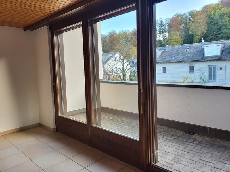 Grosszügige, helle Wohnung in 5-Familienhaus, in ruhigem und begrüntem Wohnquartier gelegen (5)