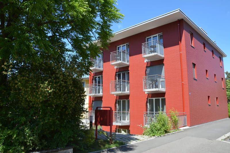 Moderne Studiozimmer für Langzeitaufenthalte - zentral in Winterthur-Veltheim gelegen (9)
