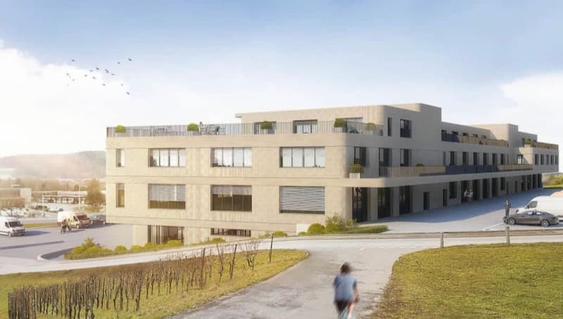 NEUBAU - 25 Gewerbe-/Büroflächen, 164.5 bis 534.5 m² (4)