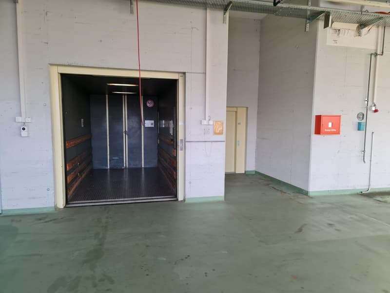Empty room, white walls, green floor, double doors of a elevator, a small room in the back.