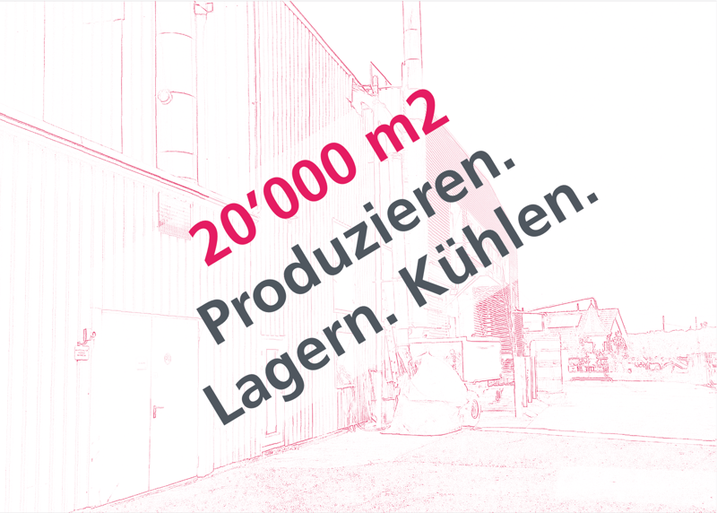 Lager- oder Gewerberaum in Villigen (3)