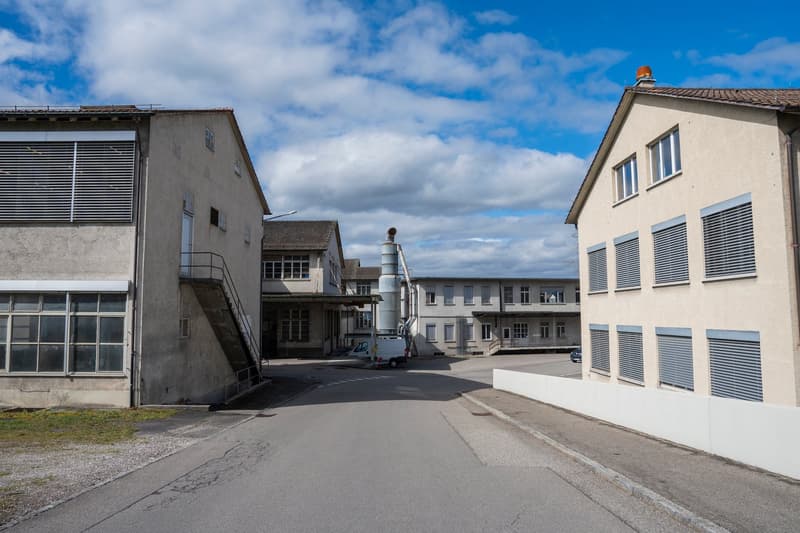 Flexibel unterteilbare Flächen für Gewerbe / Industrie / Ateliers / Werkstätte ab 50m2 (13)