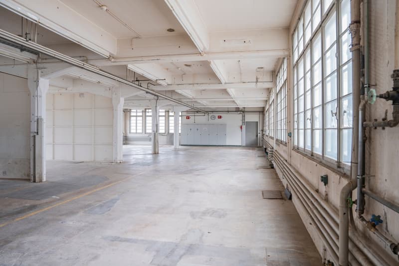 Flexibel unterteilbare Flächen für Gewerbe / Industrie / Ateliers / Werkstätte ab 50m2 (4)