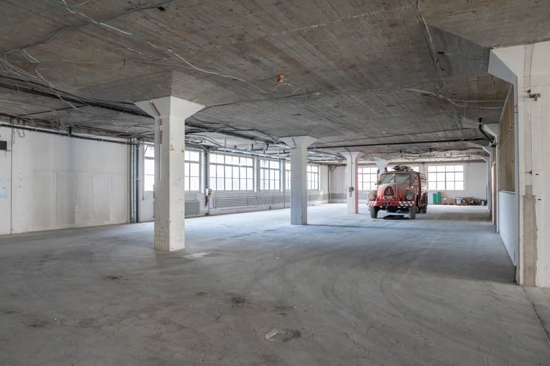 Flexibel unterteilbare Flächen für Gewerbe / Industrie / Ateliers / Werkstätte ab 50m2 (10)