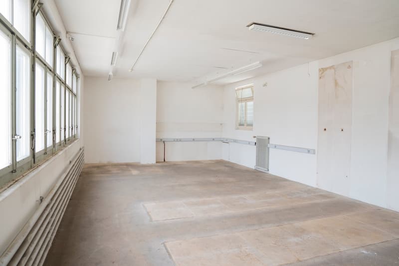Flexibel unterteilbare Flächen für Gewerbe / Industrie / Ateliers / Werkstätte ab 50m2 (3)