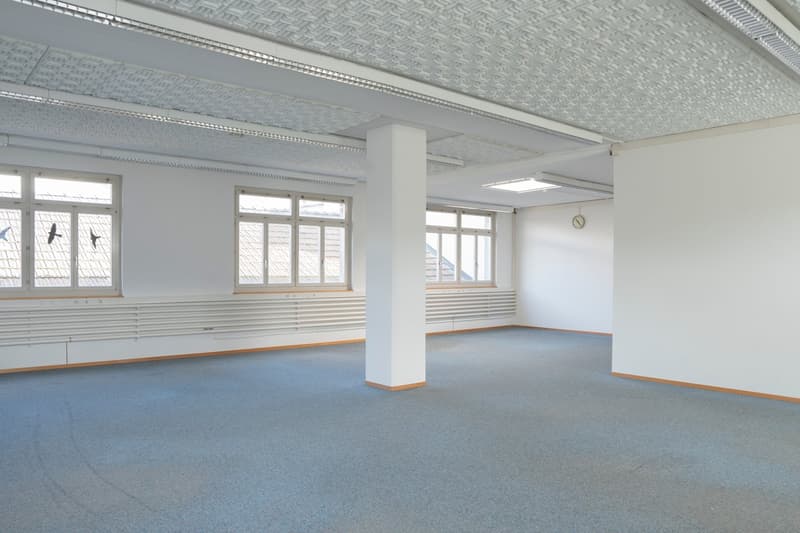 Flexibel gestaltbare Flächen für Büros / Ateliers / Handwerkerbüros ab 20m2 (3)