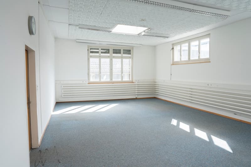 Flexibel gestaltbare Flächen für Büros / Ateliers / Handwerkerbüros ab 20m2 (4)