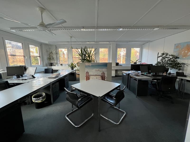 Attraktive und vielseitige Gewerbe-/Büroflächen ab ca. 35-250m2 (2)