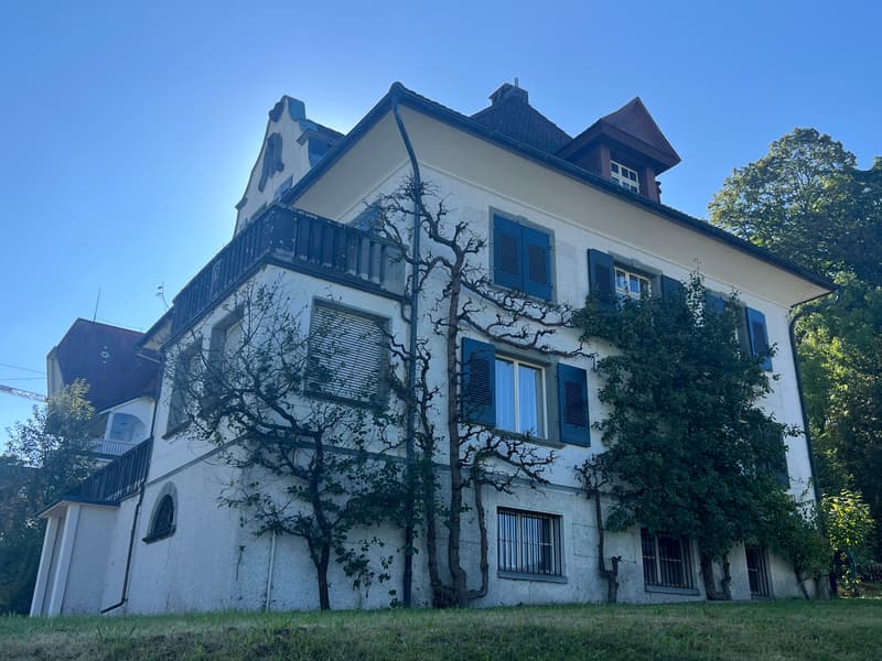 Villa in Flawil mit Baulandreserve (2)