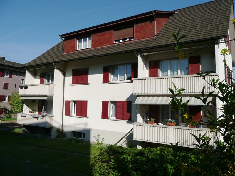 Heimelige Dachwohnung in Wettingen (1)