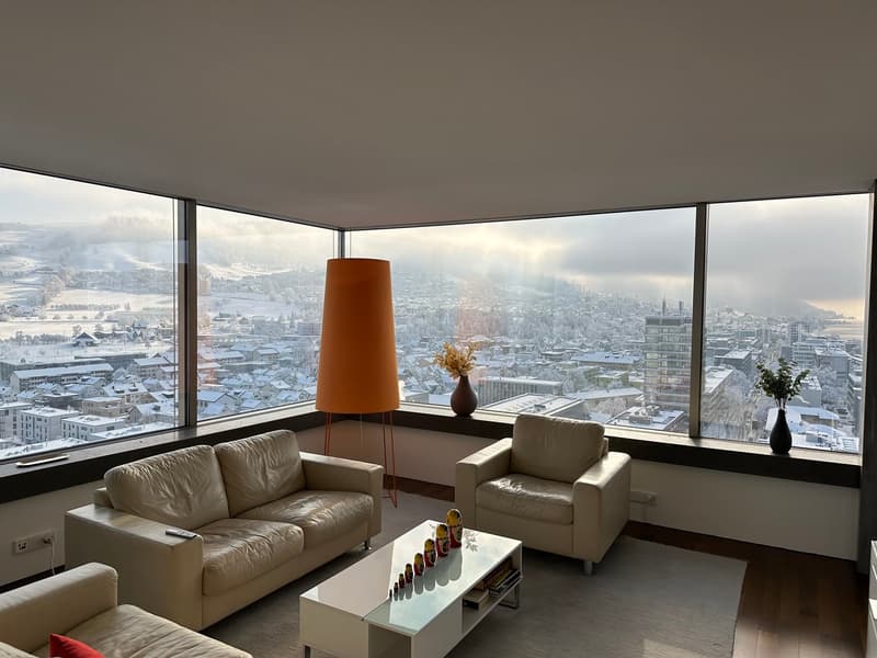 Luxury Penthouse Apartment (22)