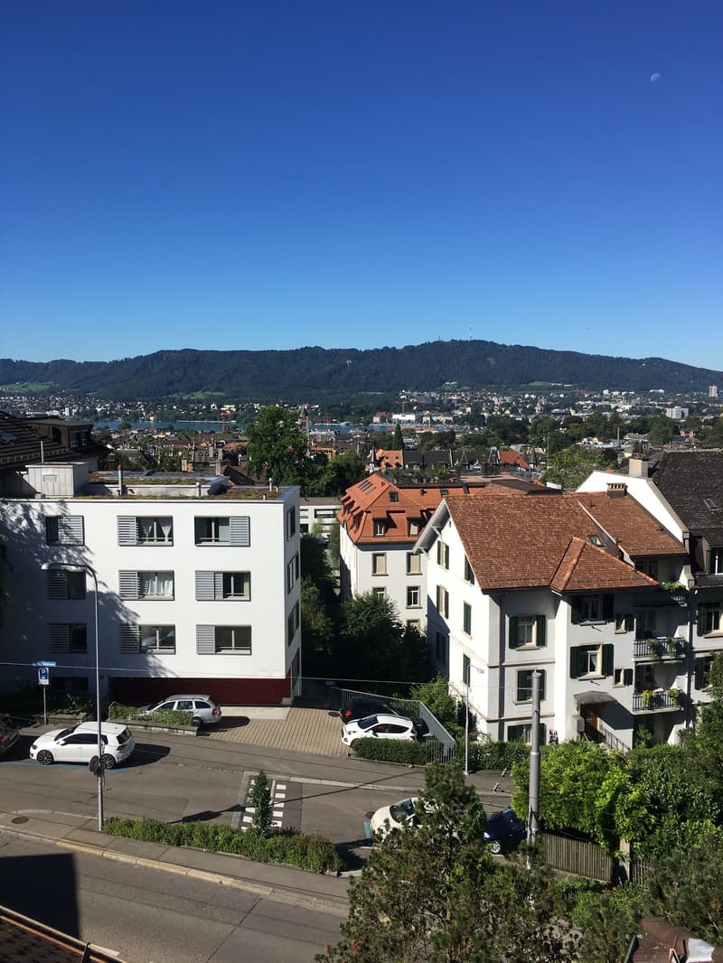 Wohnung in Zürich (1)