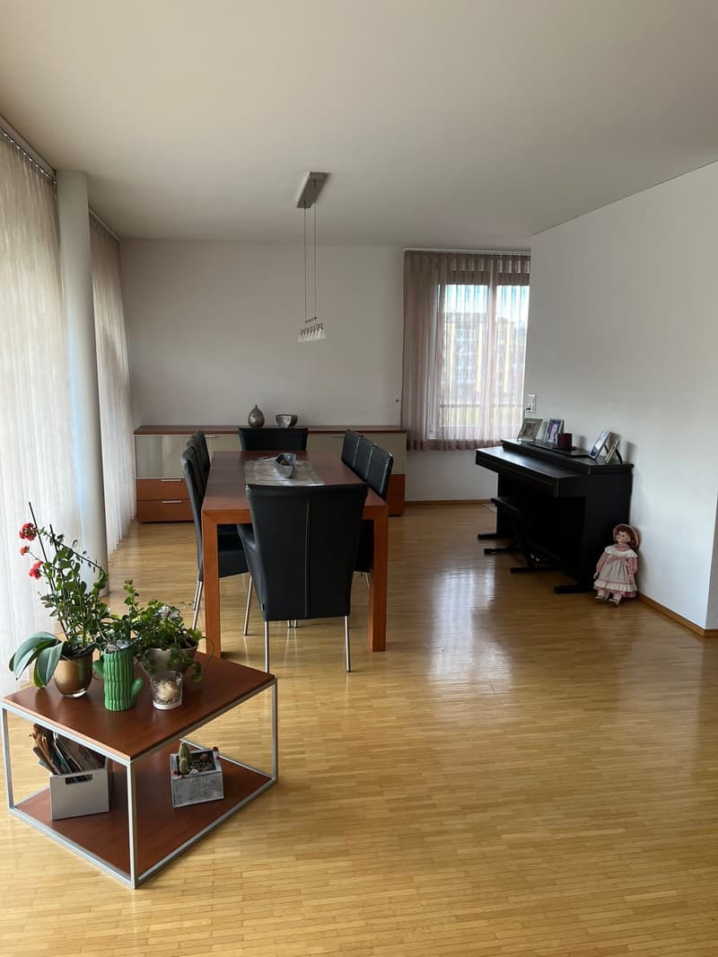 Wohnung in Luzern (2)