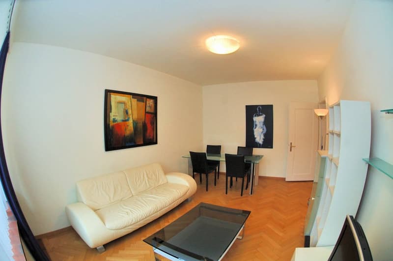 Möblierte Wohnung in Zurich (1)