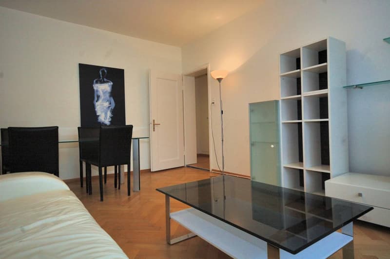 Möblierte Wohnung in Zurich (2)