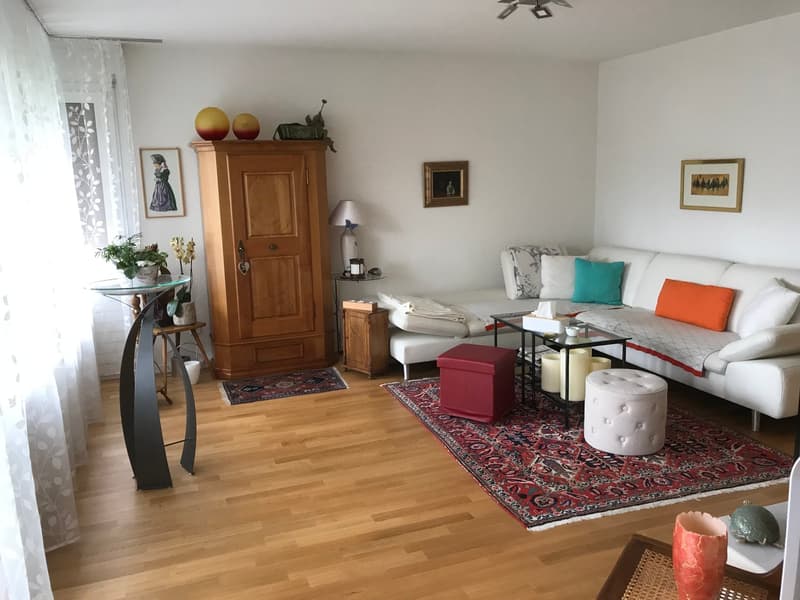 schöne renovierte frisch gestrichen 3½ Zimmer-Wohnung (2)