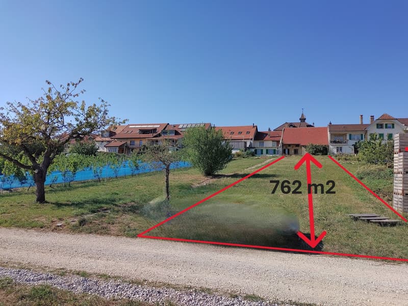 Plot of land with a triangular shape, area of 762 square meters, with a slope, surrounded by trees and a blue fence, with a view of the houses in the background.