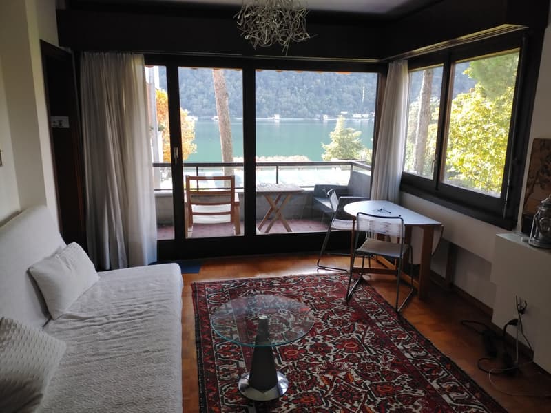 appartamentino al lago, 10 minuti da Lugano. (5)