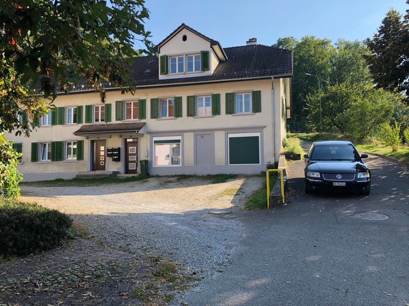Mehrfamilienhaus in Rekingen AG (1)