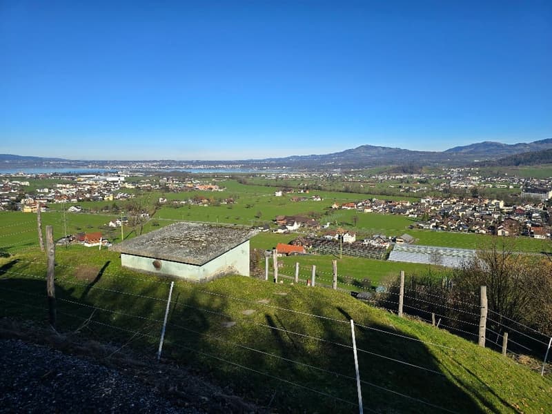 Idyllisch gelegenes Bauland mit Sicht auf den Zürichsee und die Linthebene in Galgenen SZ (2)