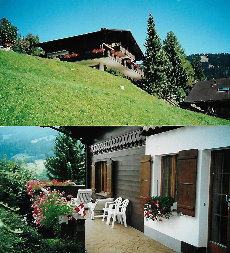 Ferienwohnung (Maisonette) in Saanen-Gstaad (1)
