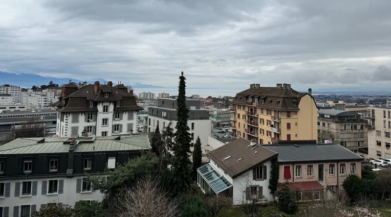Appartement à Lausanne (3)