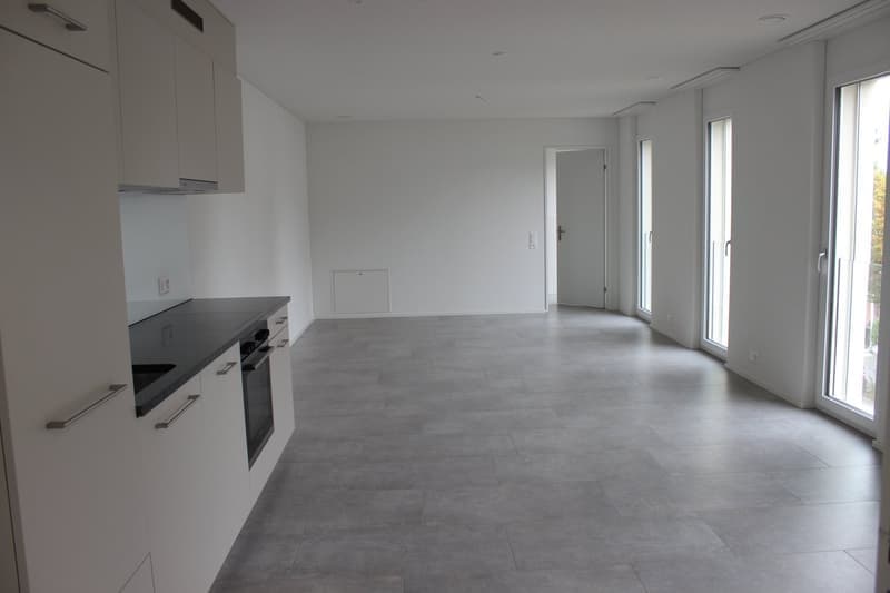 Helle und moderne 2.5- Zimmer Wohnung in Villmergen (1)