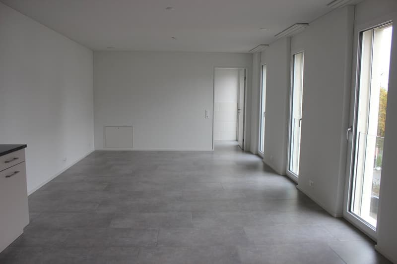 Helle und moderne 3.5- Zimmer Wohnung in Villmergen (2)