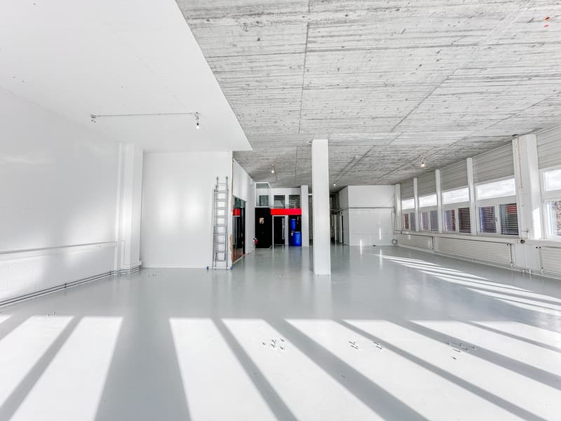 Gewerberäume in Freienbach 244 m2 - 1600 m2 zu vermieten (1)