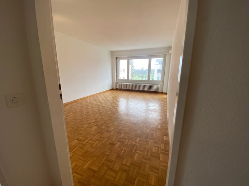 3 1/2-Zimmer-Wohnung in Obergösgen (2)