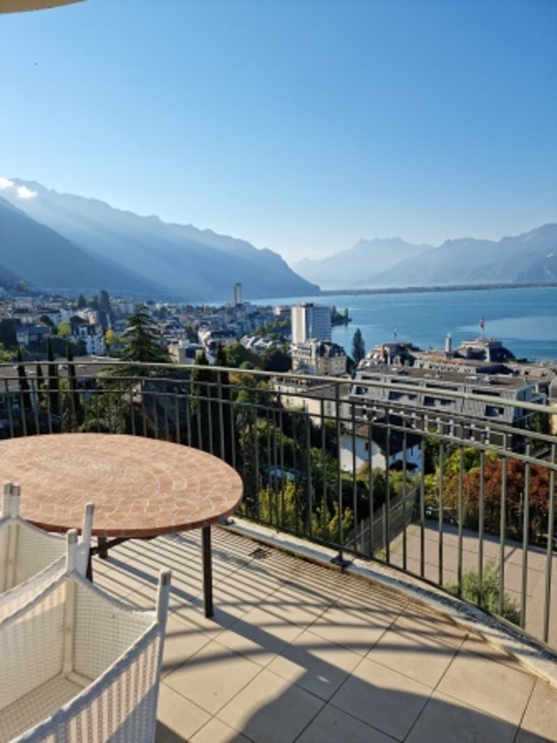 Magnifique appartement à Montreux (9)