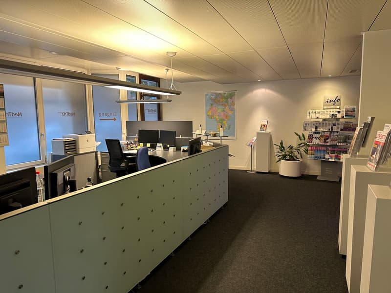 Nachmieter gesucht für schöne Büroräumlichkeiten (2010m2) an der Grosspeterstrasse 23, 4052 Basel. (2)