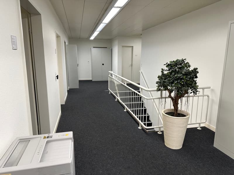 Nachmieter gesucht für schöne Büroräumlichkeiten (1810m2) an der Grosspeterstrasse 23, 4052 Basel. (1)