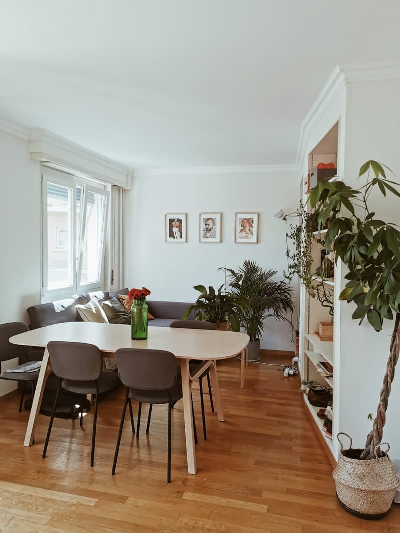 Sous Location - Appartement 4 pieces à Lausanne à Ours - 6 mois (flexible) (1)